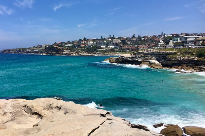 Sydney Beaches Half Day Drive and Walk Tour - Why this half-day route works well