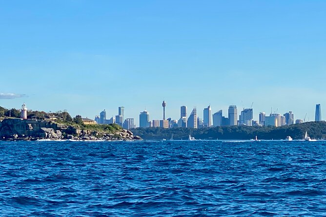 Sydney Beaches Half Day Drive and Walk Tour - Ending at Watsons Bay