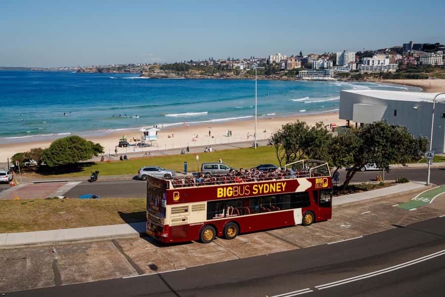 Sydney: Big Bus Hop-On Hop-Off Tour with Optional Cruise - Key points at a glance