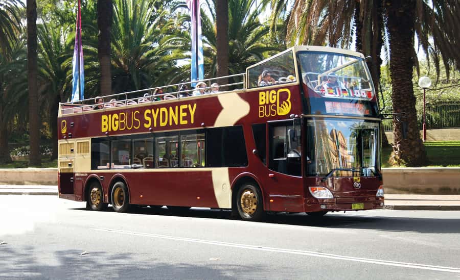 Sydney: Big Bus Hop-On Hop-Off Tour with Optional Cruise - Comfort, weather and accessibility