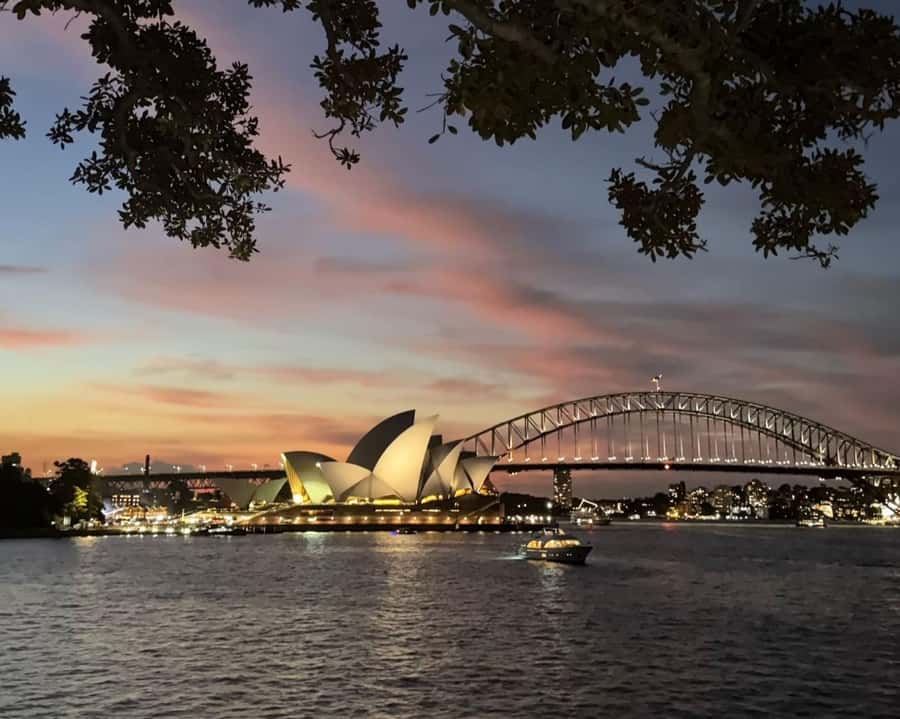 Sydney: Big Bus Panoramic Night Tour by Open-Top Bus - Starting at Phillip Street near Circular Quay