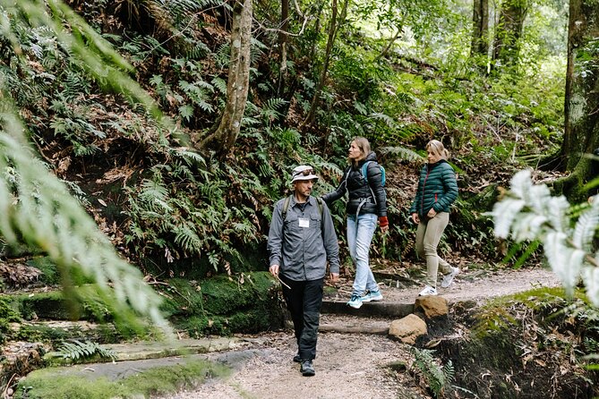 Sydney Blue Mountains Day Tour with Wildlife Park and Waterfalls - Lincoln’s Rock and the first Blue Mountains views