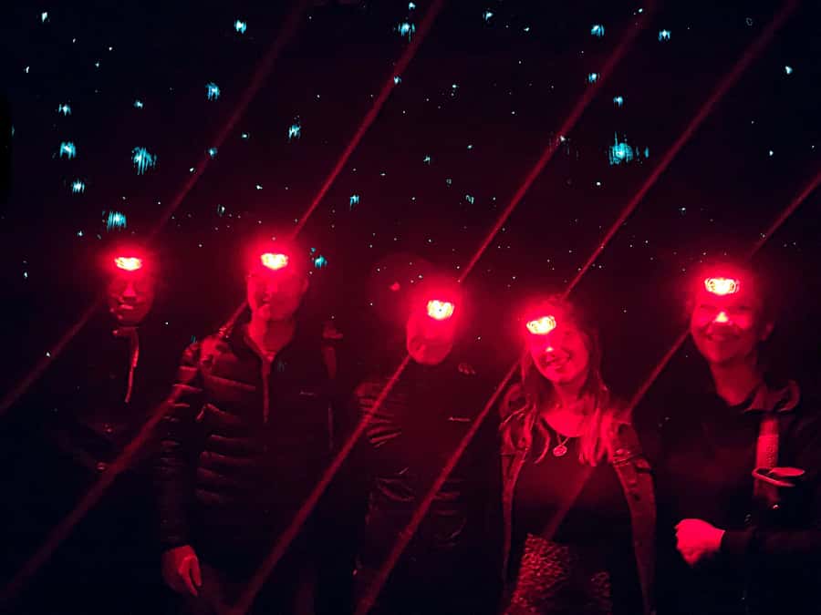 Sydney: Blue Mountains Glow Worms Wild Adventure by Night - Wildlife, Bush Tucker, and Survival Skills Along the Way