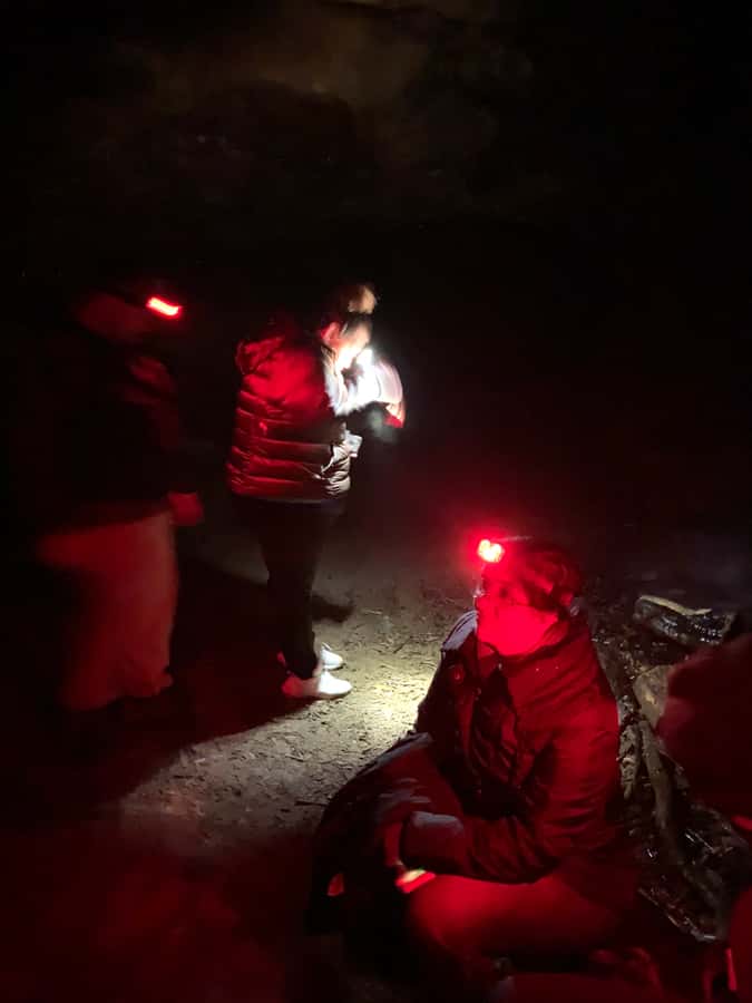 Sydney: Blue Mountains Glow Worms Wild Adventure by Night - Who Should Book This Night Adventure?