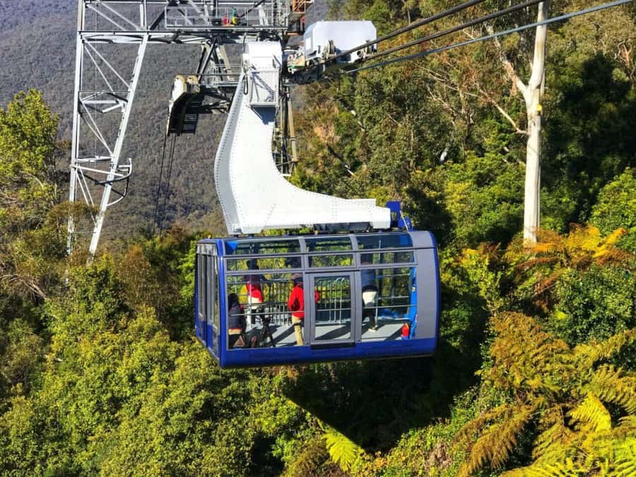 Sydney: Blue Mountains Half Day Scenic World & Lookout Tour - Why the Scenic World rides are the main event