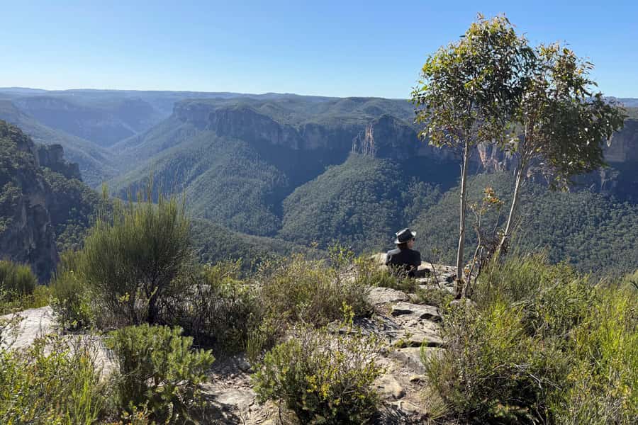 Sydney: Blue Mountains Kangaroos, Wilderness and Sunset Tour - Govetts Leap and the sandstone country