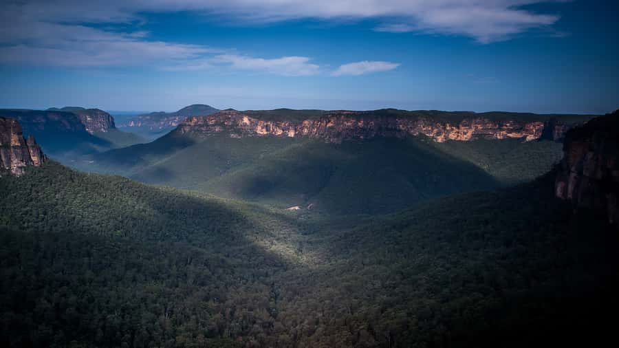 Sydney: Blue Mountains Late Start: Walks, Wildlife & Dinner - Calmsley Hill brings the wildlife close