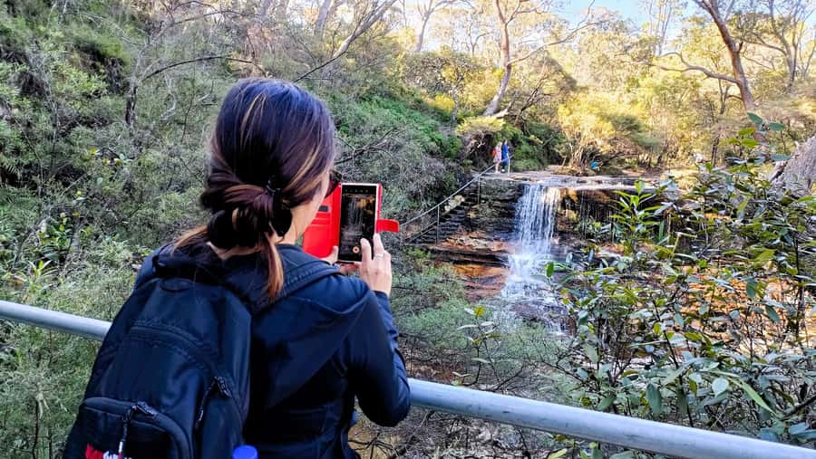 Sydney: Blue Mountains Late Start: Walks, Wildlife & Dinner - Dinner keeps the return journey civilised