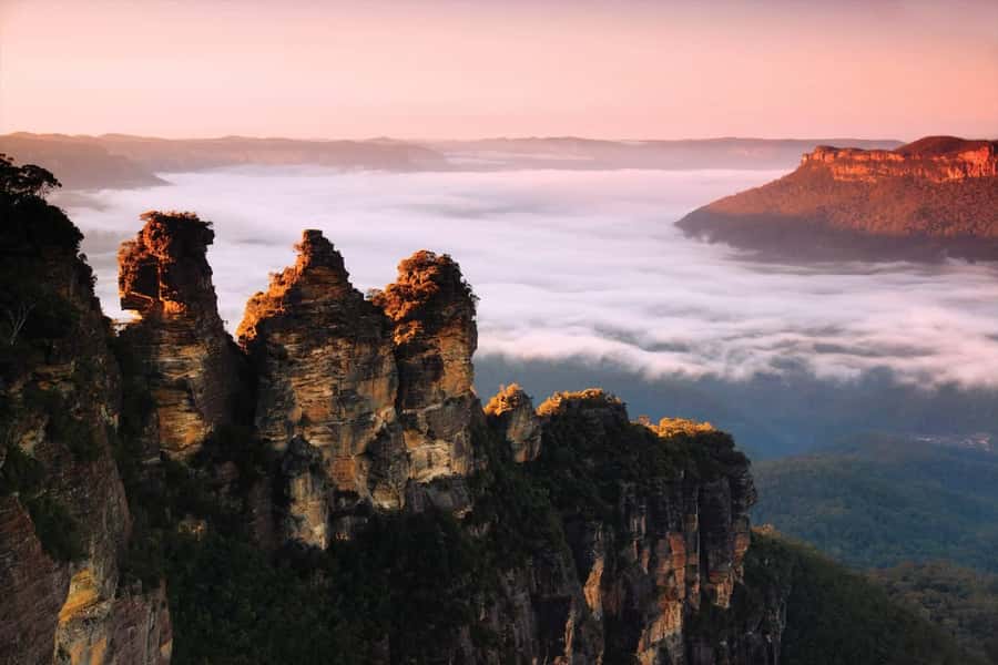 Sydney: Blue Mountains National Park Tour with River Cruise - Sydney Zoo and Australian wildlife