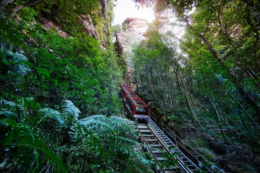 Sydney: Blue Mountains National Park Tour with River Cruise - Lunch in Leura, the Garden Village