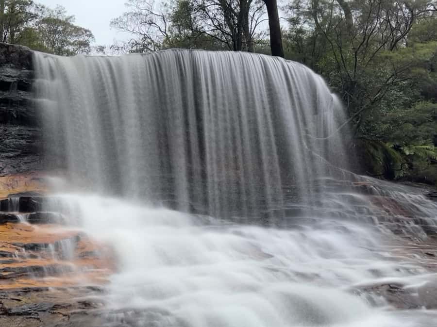 Sydney: Blue Mountains National Park Tour with River Cruise - Starting early from central Sydney
