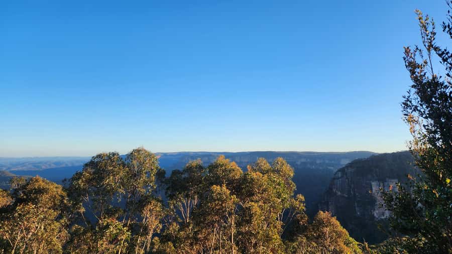 Sydney Blue Mountains, Scenic World, Featherdale - Is the $300 price good value?