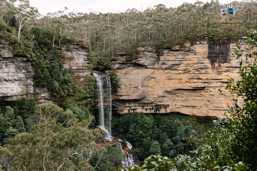 Sydney: Blue Mountains Scenic World, Wildlife Park and Lunch - Carbon-neutral travel and the practical trade-off