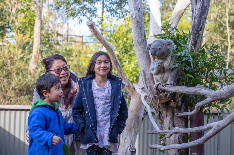 Sydney: Blue Mountains, Scenic World, Zoo & Lincoln's Rock - Echo Point and the Three Sisters