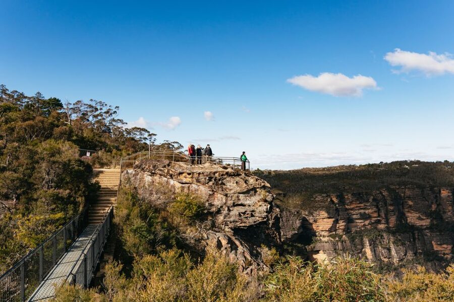 Sydney: Blue Mountains Wildlife & Bushwalk Small-Group Tour - Who gets the best value from the $133 price