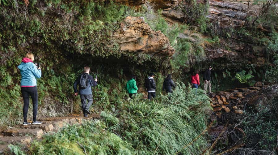 Sydney: Blue Mountains Wildlife & Bushwalk Small-Group Tour - Why this tour works for a Sydney day trip