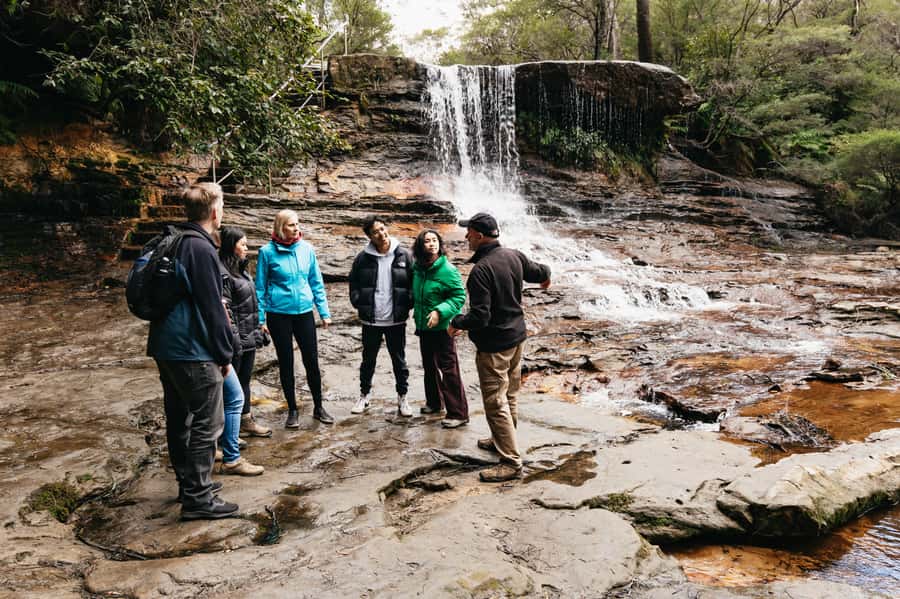 Sydney: Blue Mountains Wildlife & Bushwalk Small-Group Tour - Weather, fitness, and what to pack