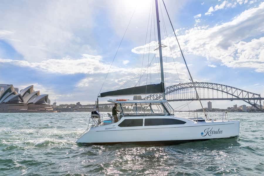 Sydney: Bring Your Own Drinks Vivid Harbour Cruise - What the 90-minute cruise feels like