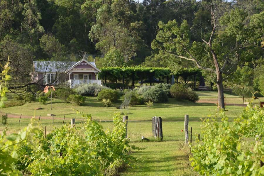 Sydney: Chef-Led Hunter Valley Food & Wine Tour - The drive into Hunter Valley