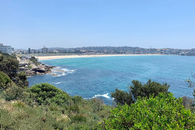 Sydney City, Harbour & Bondi Private Tour, with Airport pick up or drop off - A practical first look at Sydney in five hours