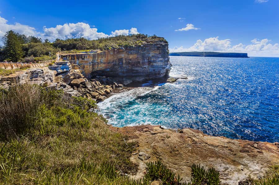 Sydney: City Highlights Private Half-Day Tour - Why this private Sydney tour works well for a first visit