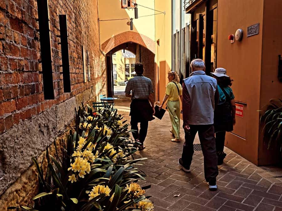 Sydney: City Sights Walking Tour - Who should book this Sydney walk?