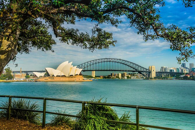 Sydney Combo: Morning Sightseeing to Bondi & Harbour Lunch Cruise - A fast way to get your Sydney bearings