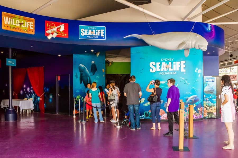 Sydney: Combo Pass for 2, 3, or 4 Top City Attractions - Tickets, timing, and small practical points
