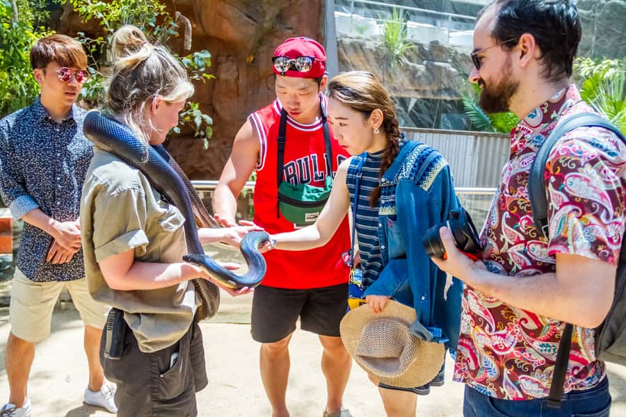 Sydney: Combo Pass for 2, 3, or 4 Top City Attractions - What this Sydney combo pass actually includes
