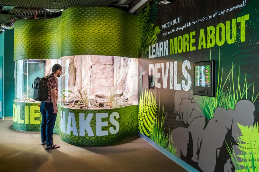 Sydney: Combo Pass for 2, 3, or 4 Top City Attractions - WILD LIFE Sydney brings Australian animals indoors
