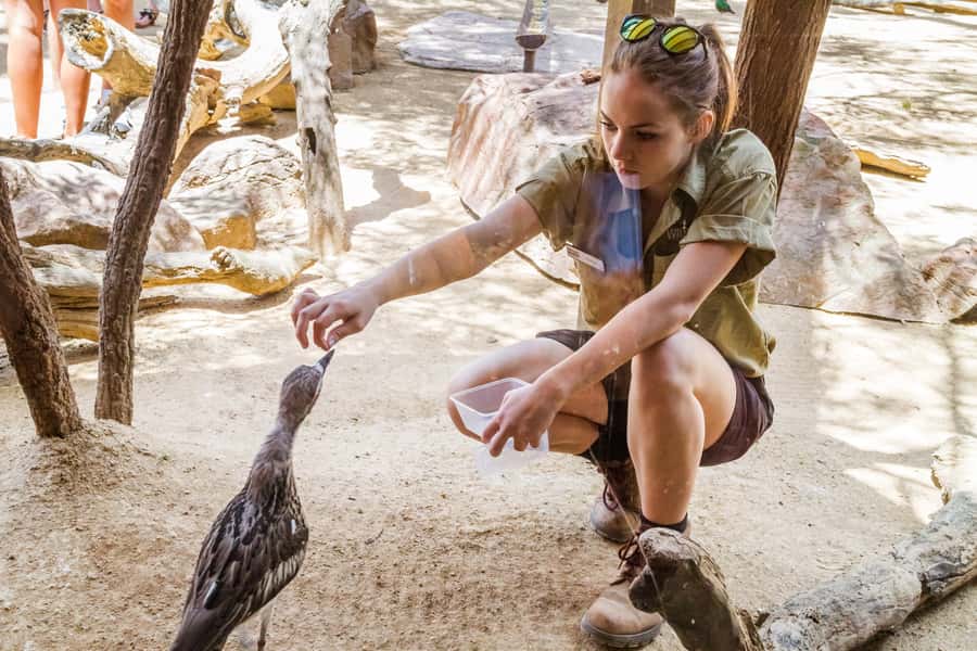 Sydney: Combo Pass for 2, 3, or 4 Top City Attractions - Madame Tussauds is more hands-on than a standard museum