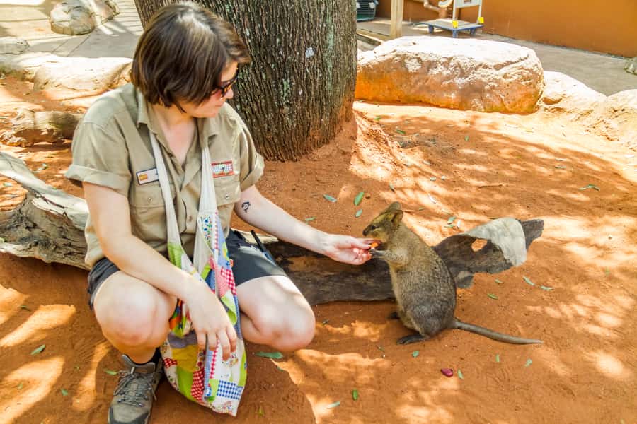 Sydney: Combo Pass for 2, 3, or 4 Top City Attractions - Why using the pass over 60 days can be better
