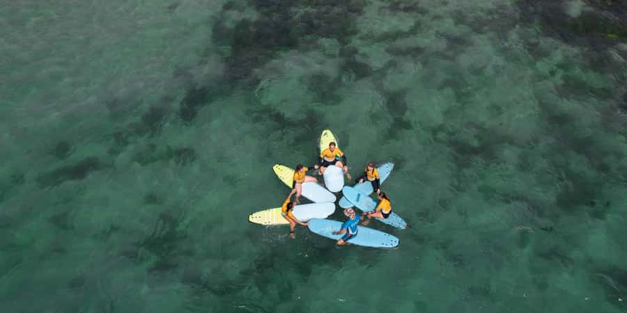 Sydney: Dee Why Beach Group Surfing Lesson - The first skills: paddling and positioning