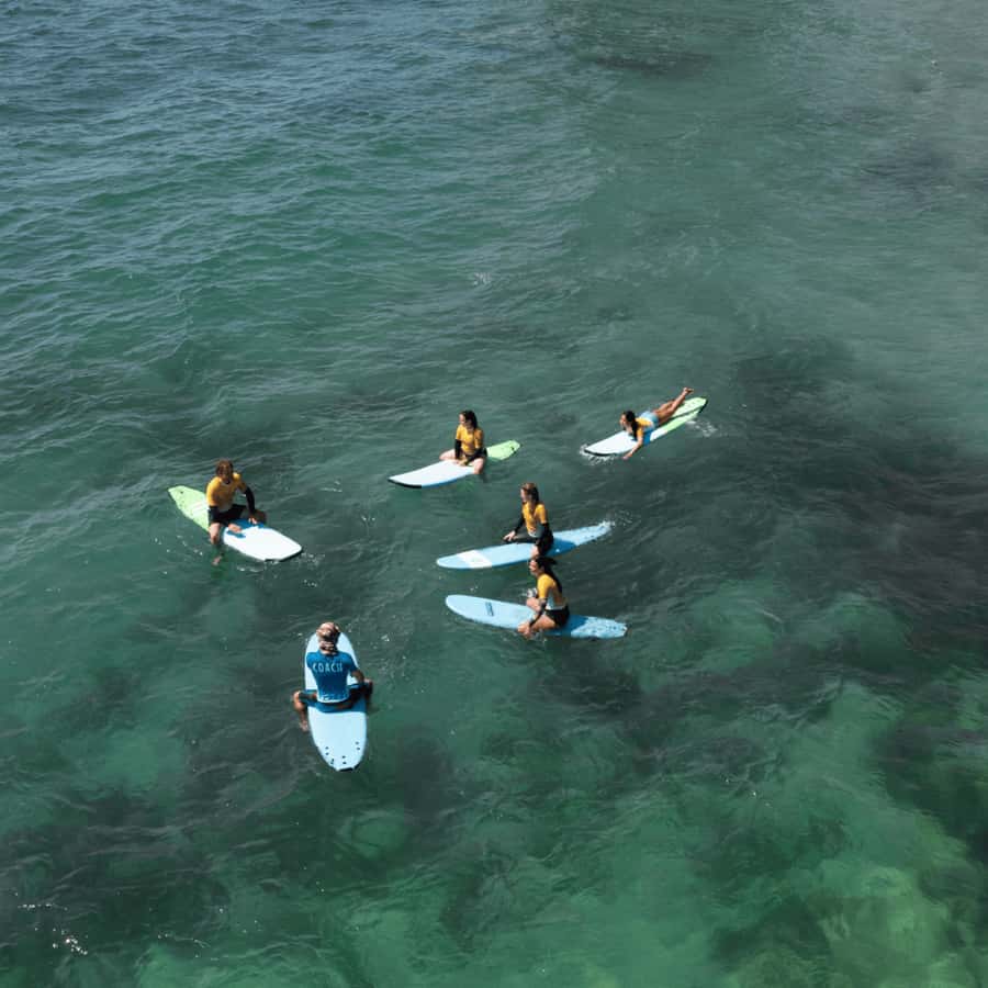 Sydney: Dee Why Beach Group Surfing Lesson - Who should book this experience?
