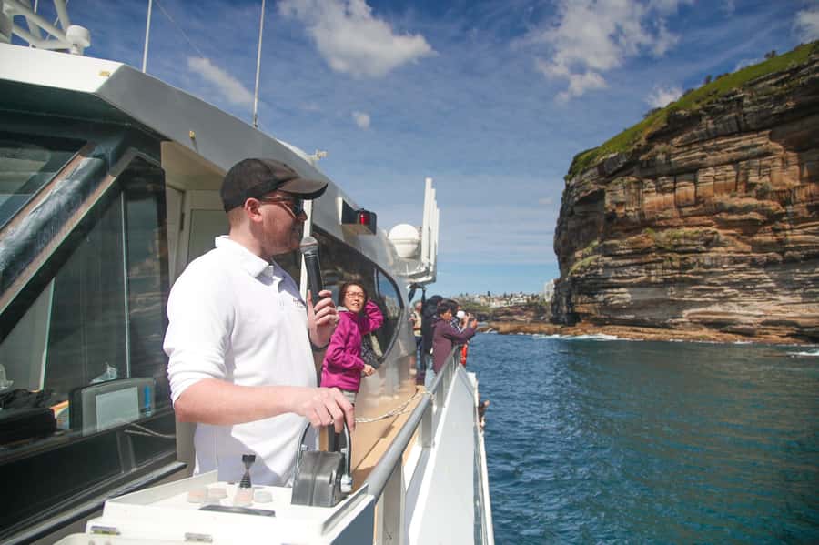 Sydney: Discovery Whale Watching Tour by Catamaran - The onboard photographer can solve the camera problem