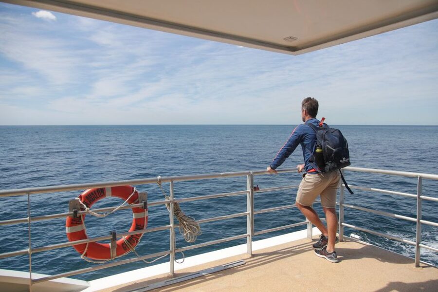 Sydney: Discovery Whale Watching Tour by Catamaran - How the 150 minutes usually feel