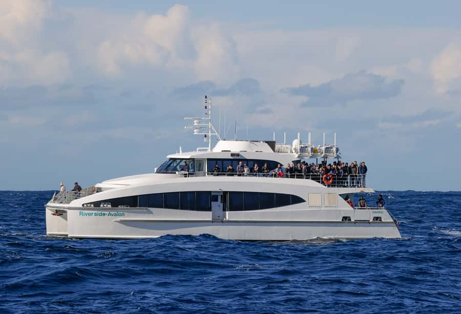 Sydney: Discovery Whale Watching Tour by Catamaran - Is the boat wheelchair accessible?