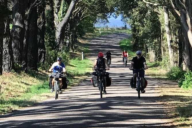 Sydney Electric Mountain Bike Guided Tour - Royal National Park and the southern Sydney option