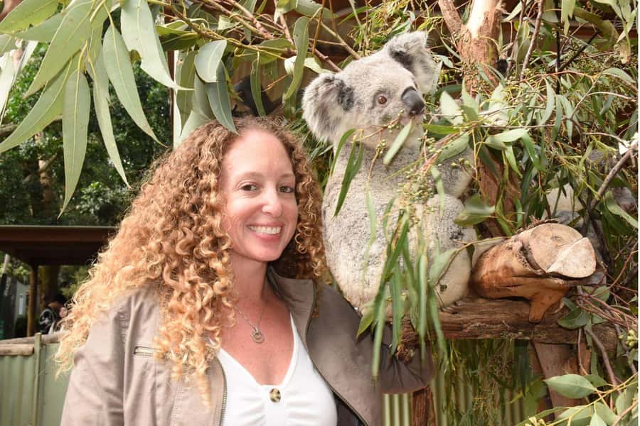 Sydney: Featherdale Wildlife Park Private Tour - Koalas, photographs, and changing expectations