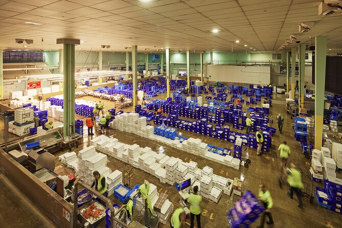 Sydney Fish Market Behind the Scenes Tour - Key points to know before booking