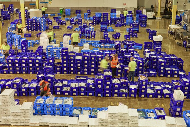 Sydney Fish Market Behind the Scenes Tour - Lobsters, mud crabs, and giant tuna