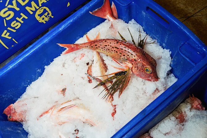 Sydney Fish Market Behind the Scenes Tour - What the guide adds to the experience