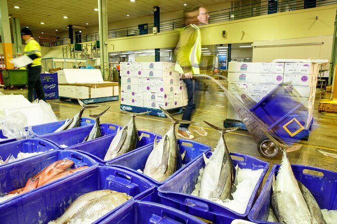 Sydney Fish Market Behind the Scenes Tour - Who should book this morning tour?