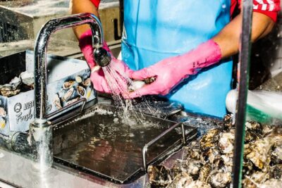 Sydney Fish Market Discovery Tour