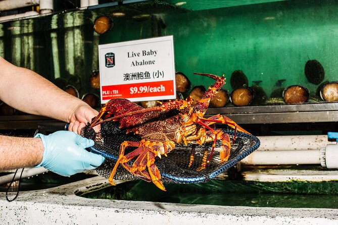 Sydney Fish Market Discovery Tour - Is $35.86 a fair price?
