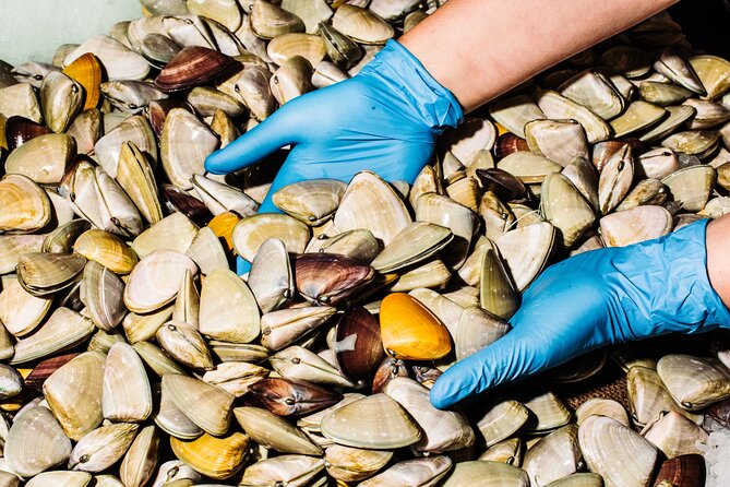 Sydney Fish Market Discovery Tour - Who will get the most from this tour