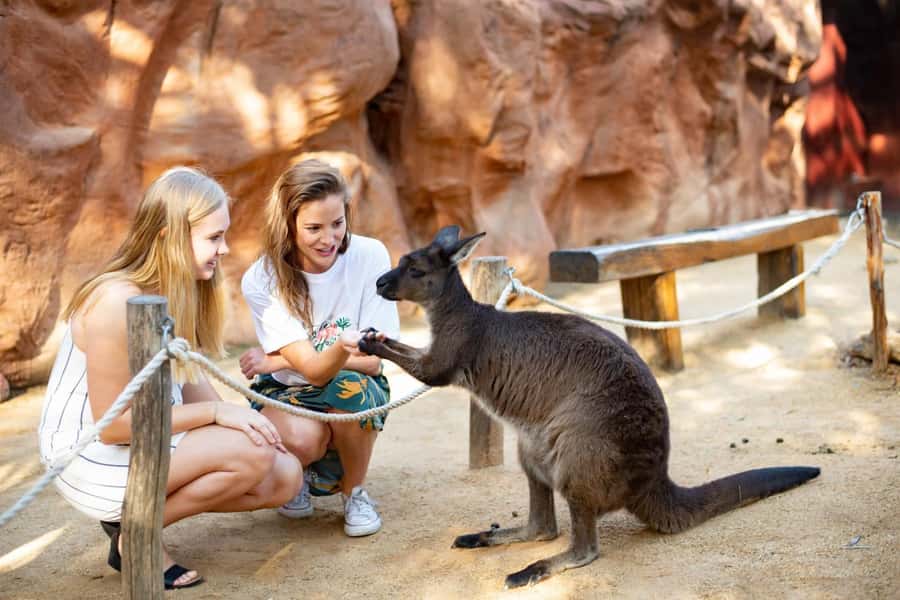 Sydney: Flexi Pass - Pick 3, 5 or 7 Experiences - The Blue Mountains and nearby day options
