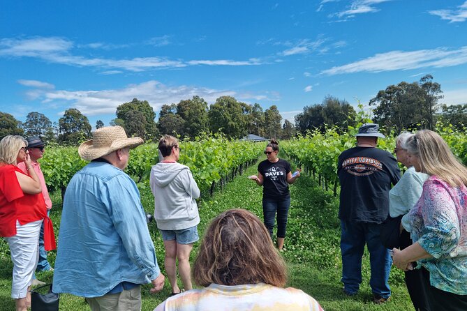 Sydney Grains and Grapes Hunter Valley Wine and Beer with Lunch - Stop two: lunch with pizza, salads, and a glass