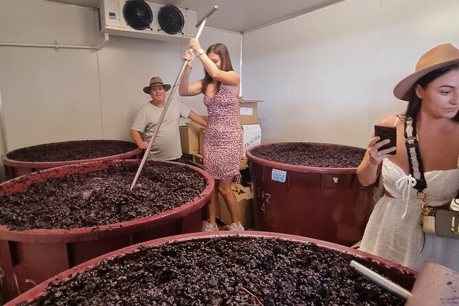 Sydney Grains and Grapes Hunter Valley Wine and Beer with Lunch - Stop one: seeing how the first wine is made