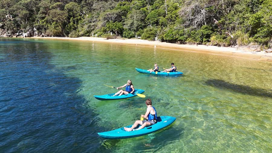 Sydney: Guided Kayak Taster Tour from Manly - Key points at a glance